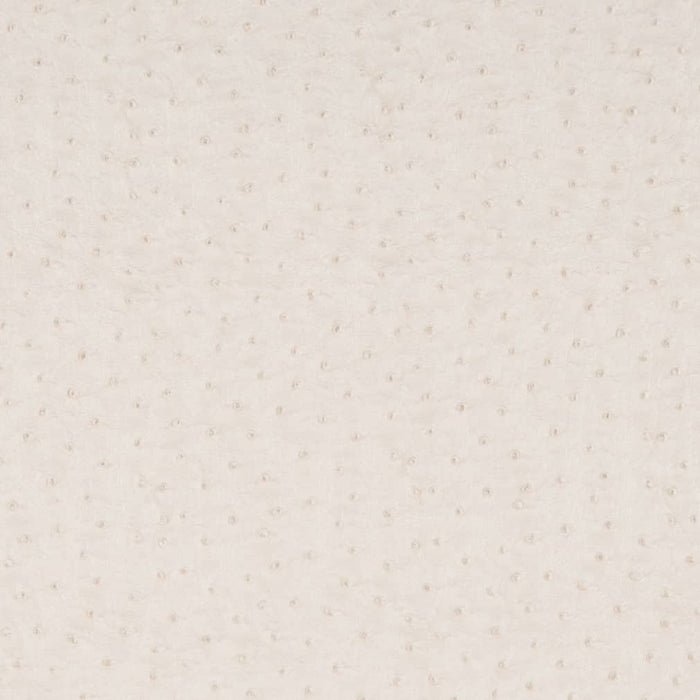 Charlotte Pearl Fabric Sample V618