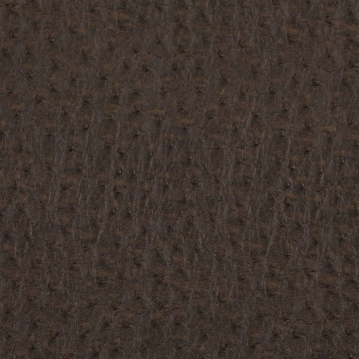 Charlotte Bark Fabric Sample V619