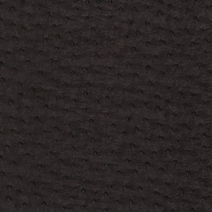 Charlotte Ebony Fabric Sample V620