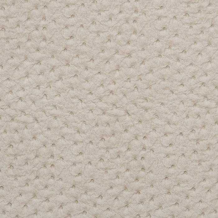 Charlotte Fog Fabric Sample V621
