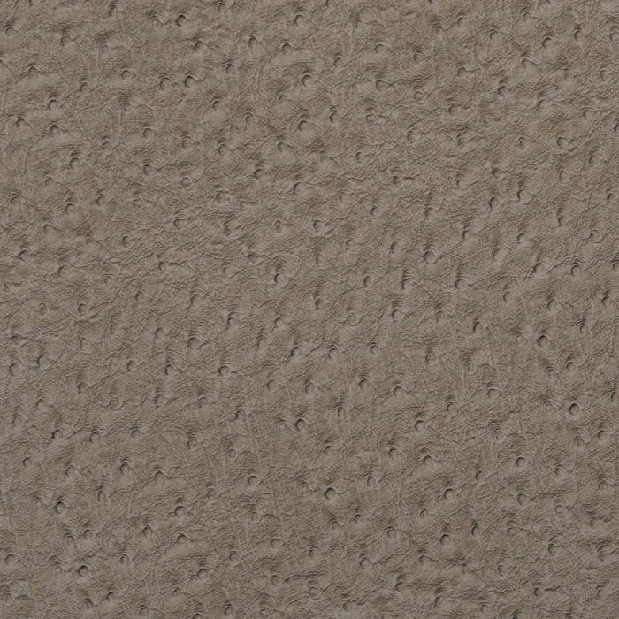 Charlotte Pewter Fabric Sample V622