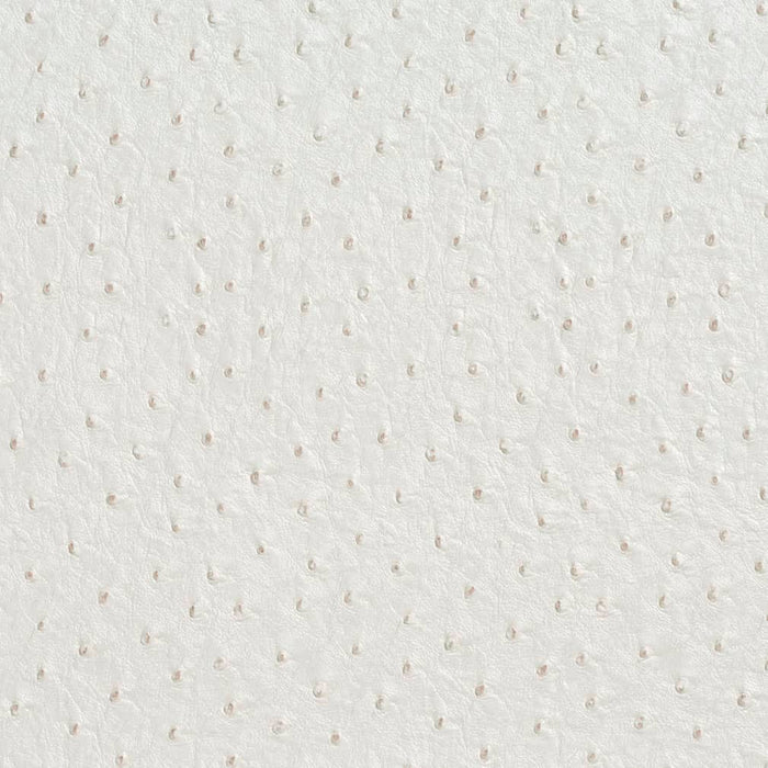 Charlotte Cream Fabric Sample V623