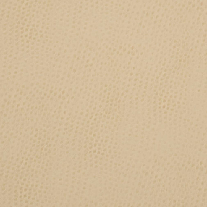 Charlotte Parchment Fabric Sample V626