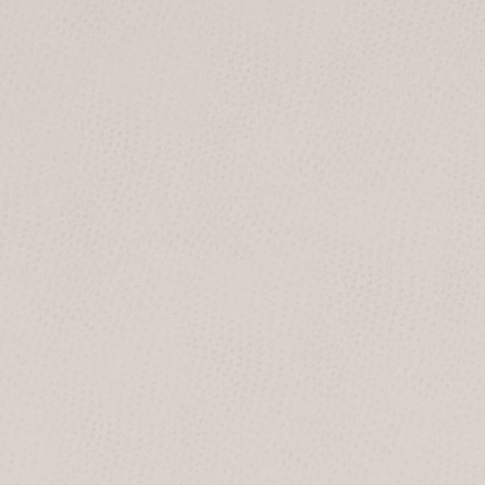Charlotte Natural Fabric Sample V627