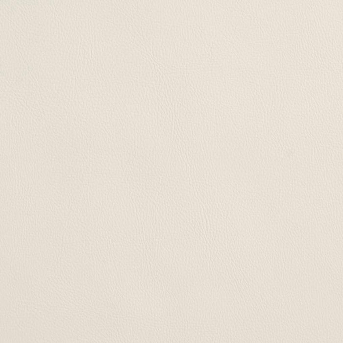 Charlotte Natural Fabric Sample V636
