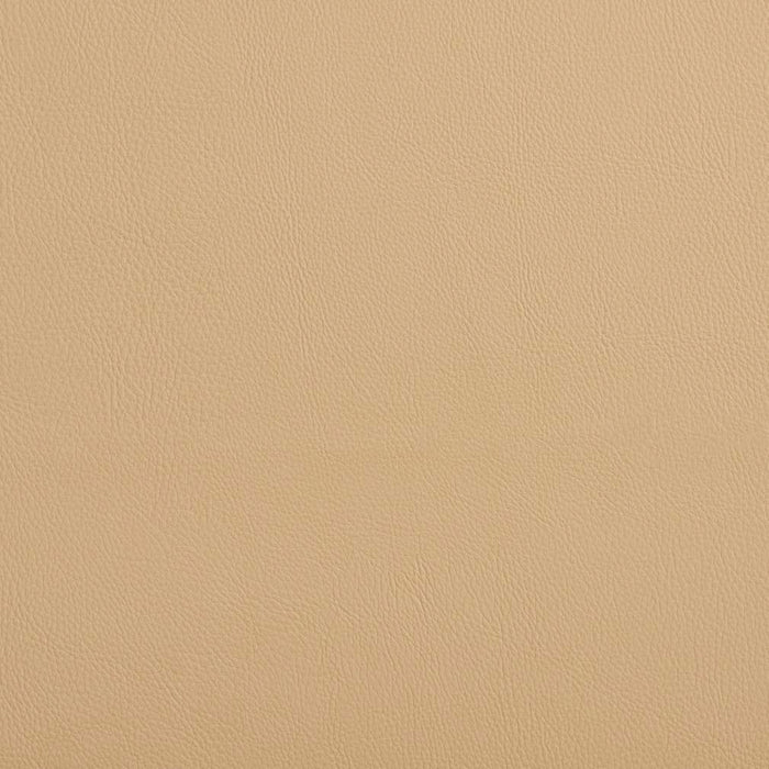 Charlotte Dune Fabric Sample V637
