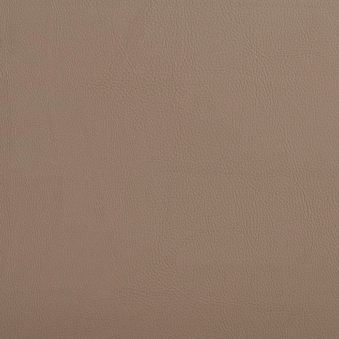 Charlotte Taupe Fabric Sample V641