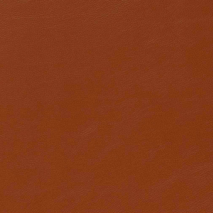 Charlotte Saddle Fabric Sample V643