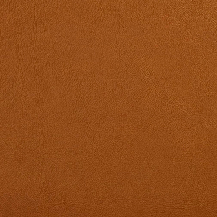 Charlotte Palomino Fabric Sample V644