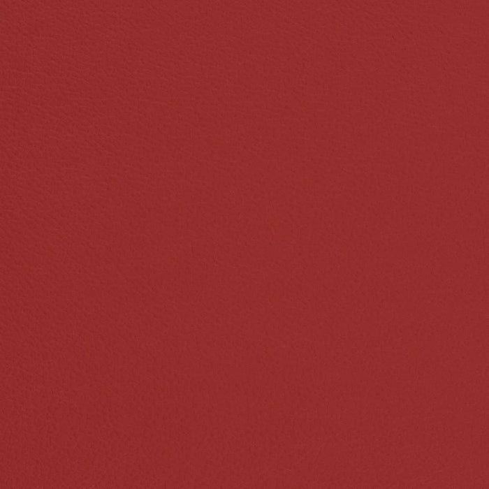 Charlotte Cherry Fabric Sample V662