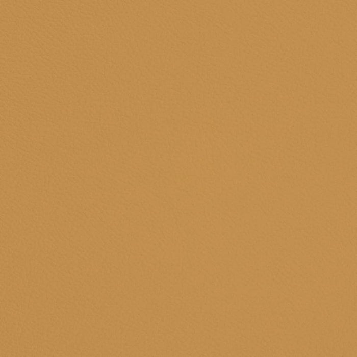 Charlotte Flaxen Fabric Sample V678