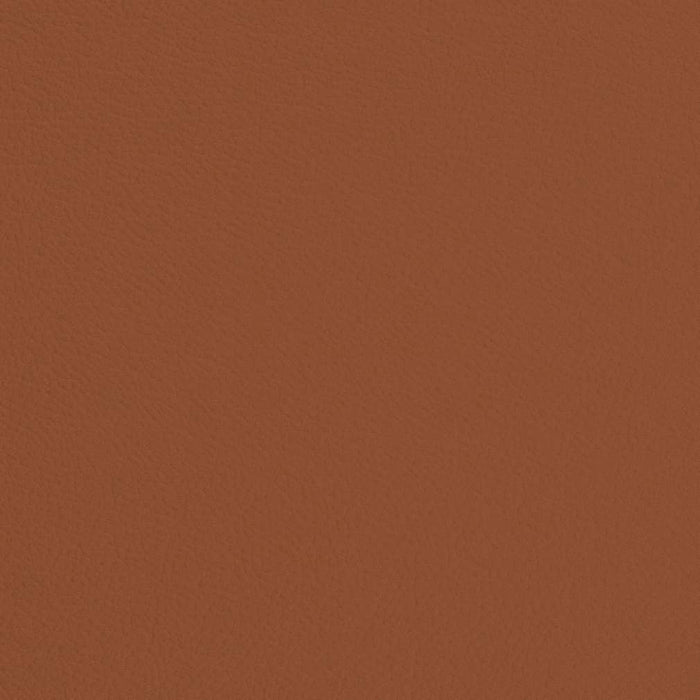 Charlotte Rust Fabric Sample V685