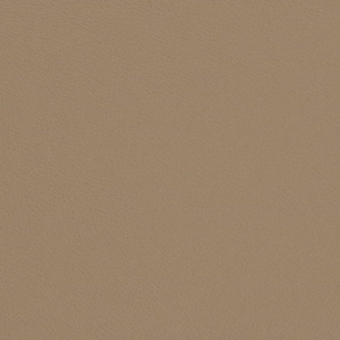 Charlotte Mushroom Fabric Sample V692