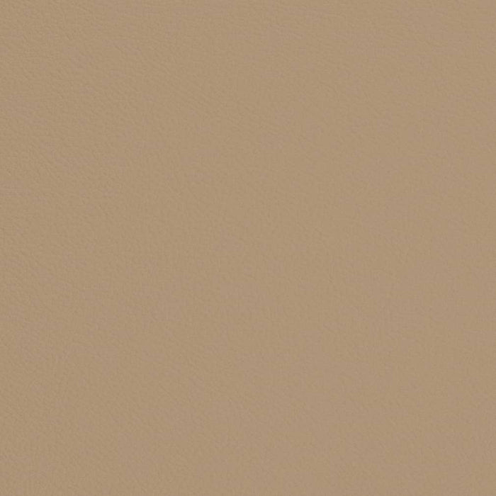 Charlotte Sand Fabric Sample V693