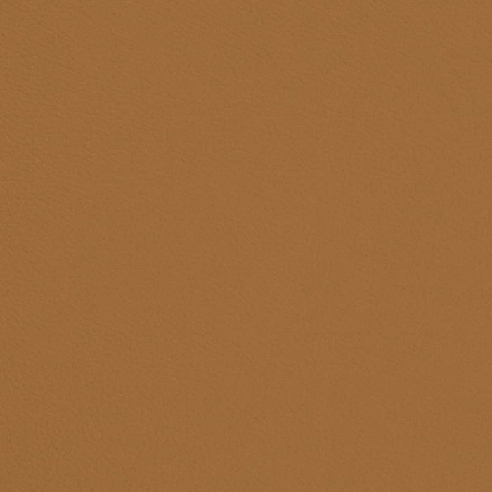Charlotte Butterscotch Fabric Sample V696