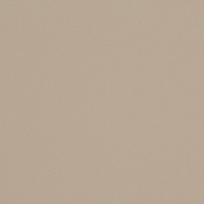 Charlotte Dove Fabric Sample V698