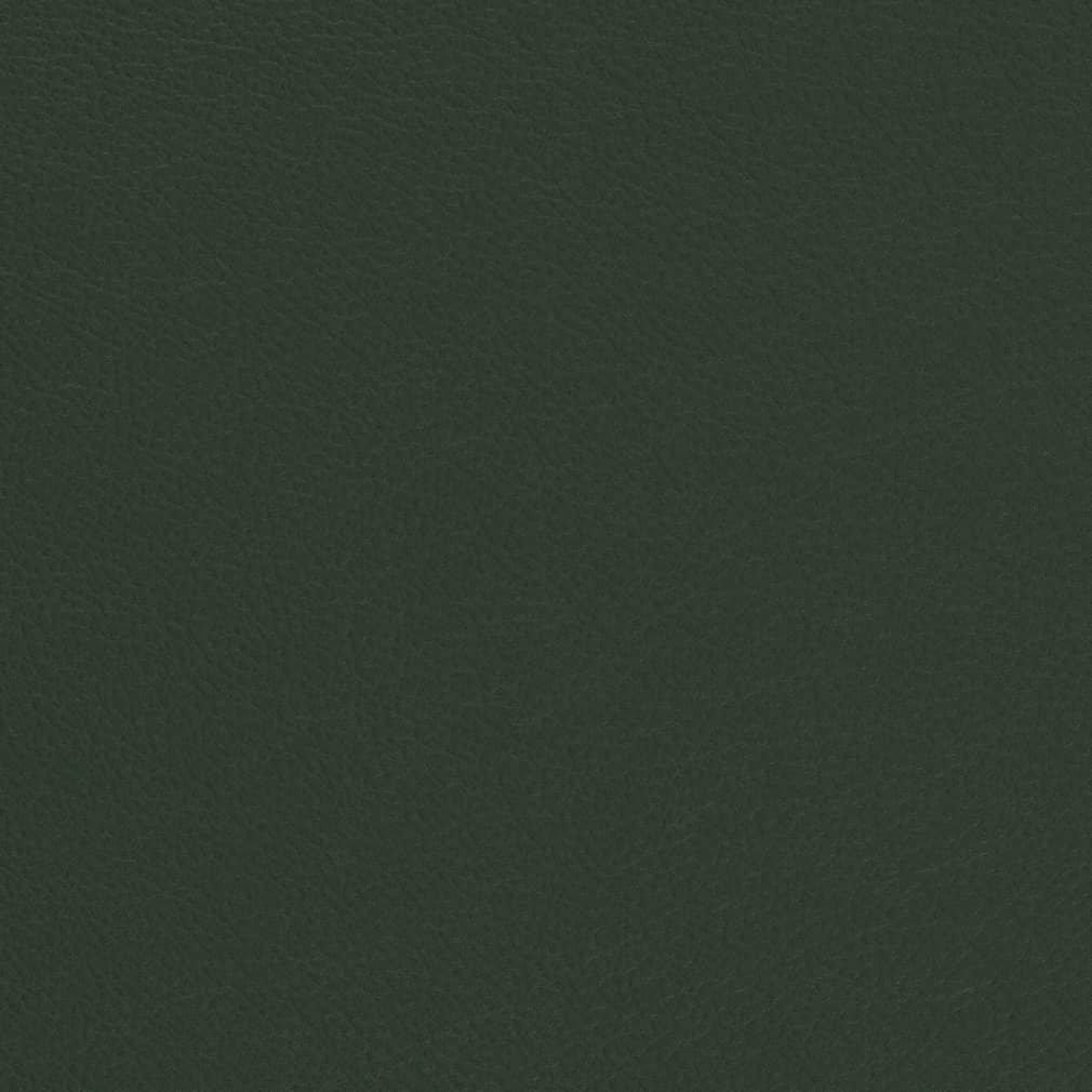 Charlotte Evergreen Fabric V699