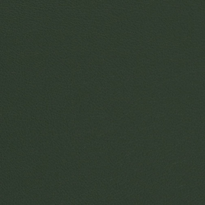 Charlotte Evergreen Fabric Sample V699
