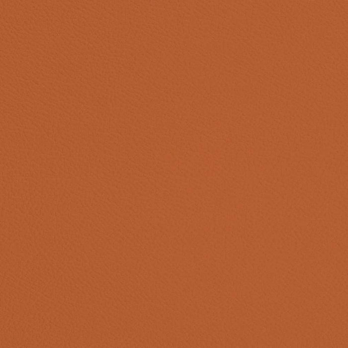 Charlotte Marmalade Fabric Sample V700