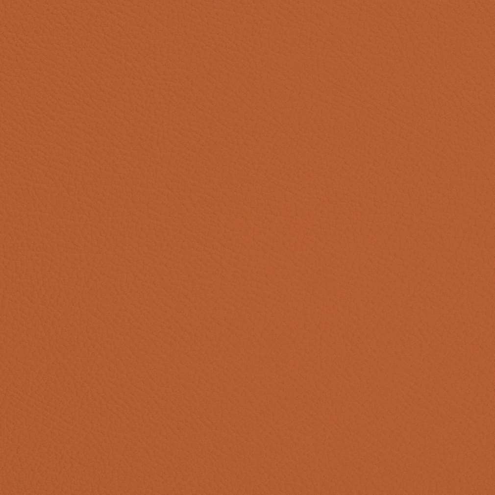 Charlotte Marmalade Fabric V700