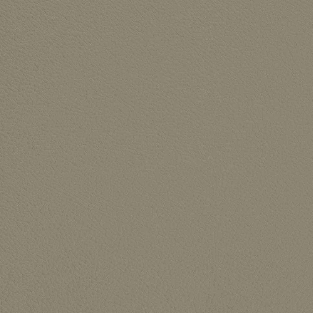 Charlotte Stone Fabric V701
