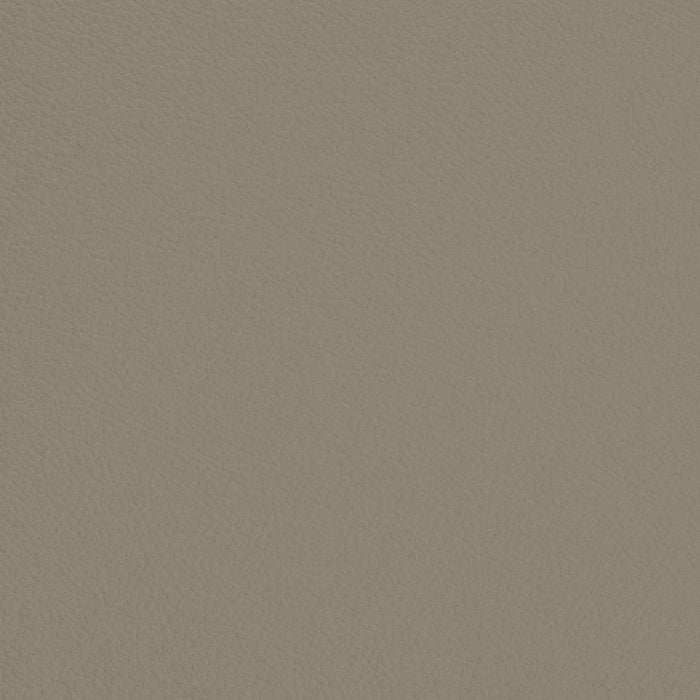 Charlotte Stone Fabric Sample V701