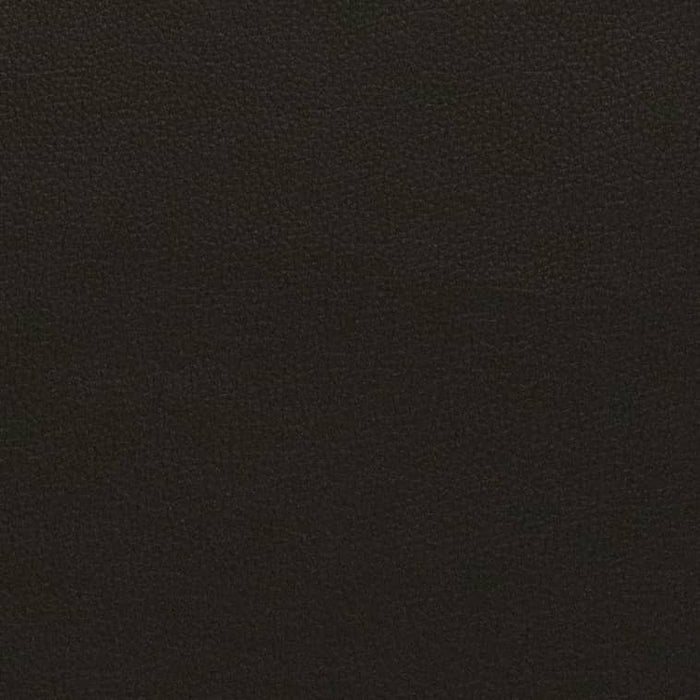 Charlotte Jet Fabric Sample V729