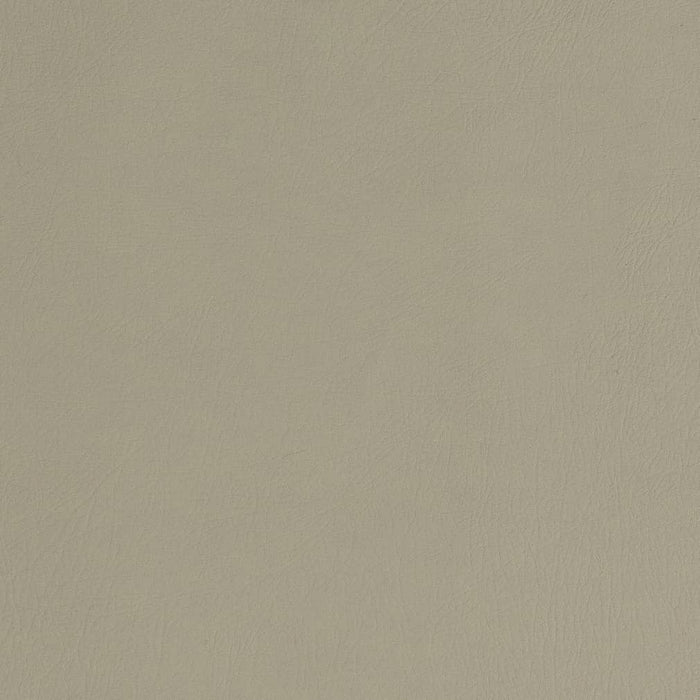 Charlotte Stone Fabric Sample V753
