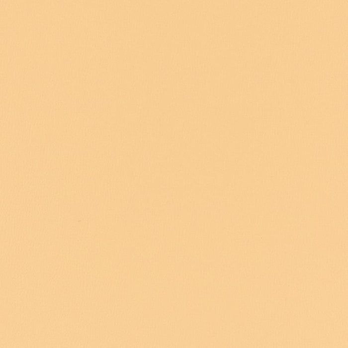 Charlotte Oat Fabric Sample V777