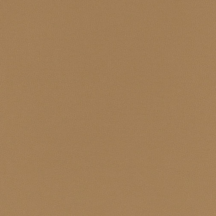 Charlotte Sandstone Fabric Sample V779