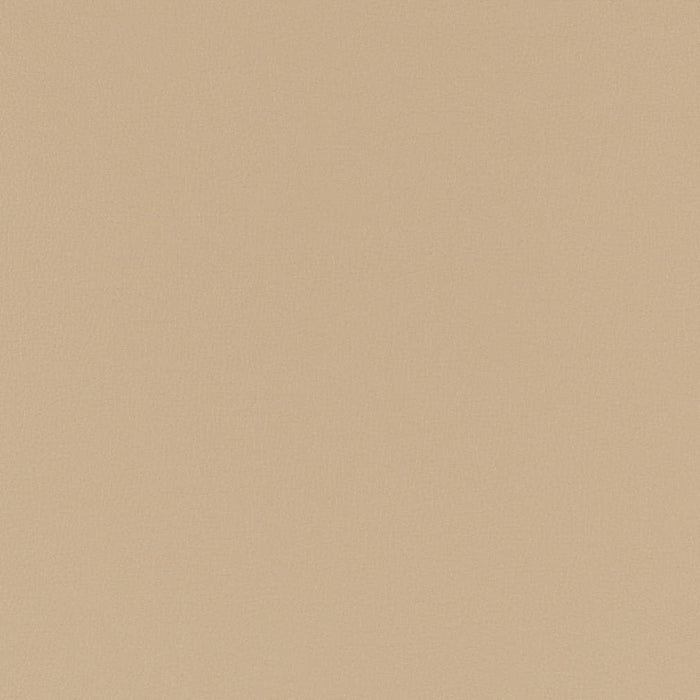 Charlotte Taupe Fabric Sample V780