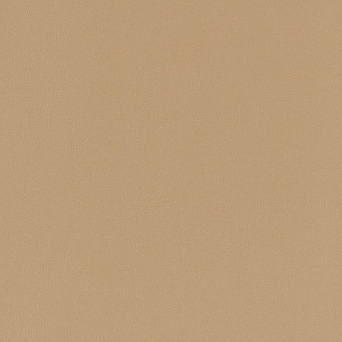 Charlotte Fawn Fabric Sample V781