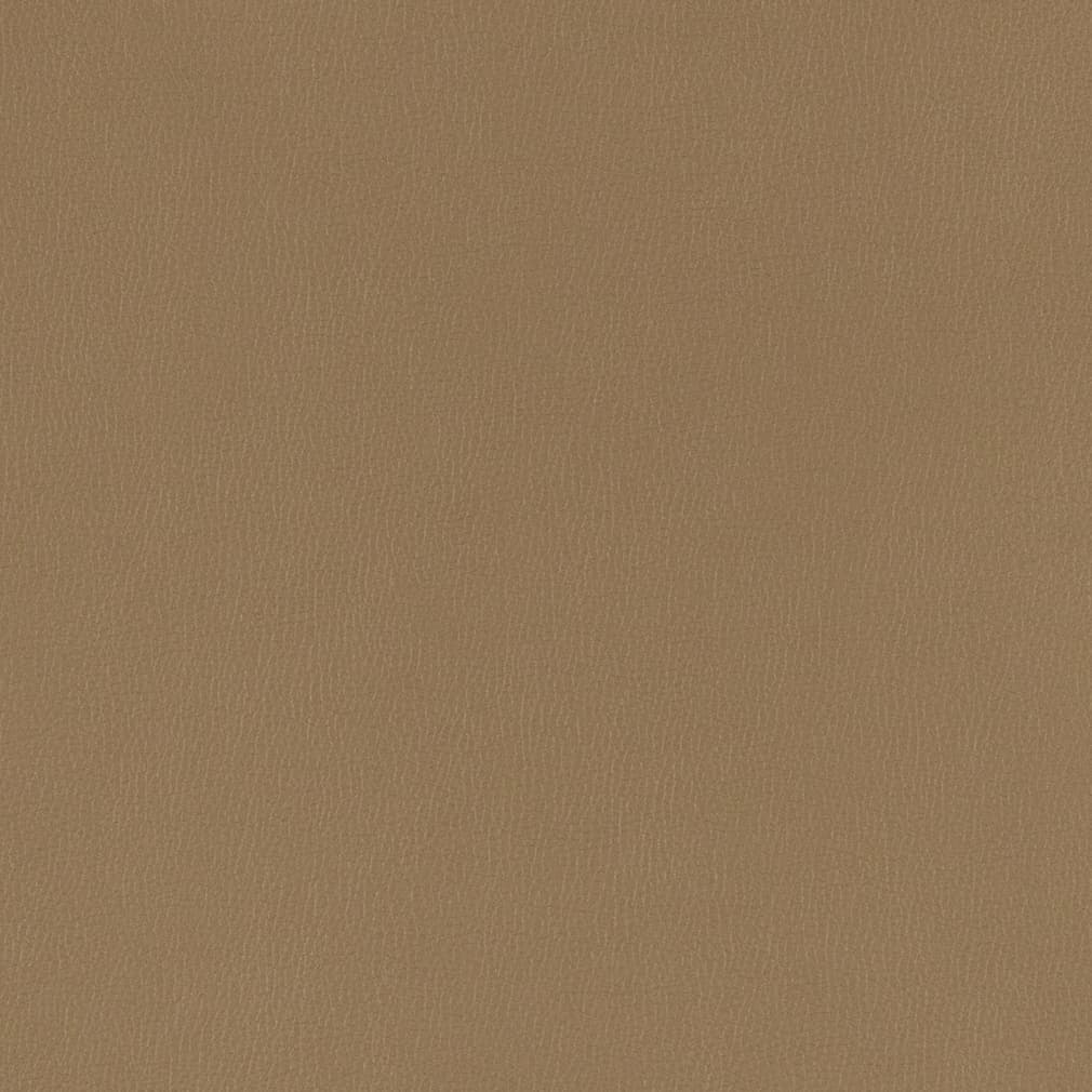 Charlotte V782 Hazelnut Sample | 40% Off (Samples)