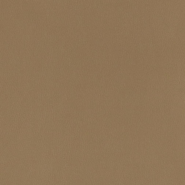 Charlotte Hazelnut Fabric Sample V782