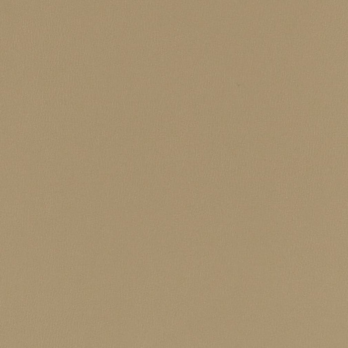 Charlotte Dove Fabric Sample V783