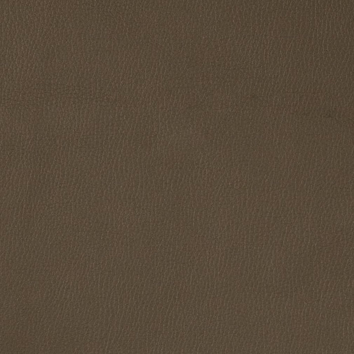 Charlotte Graphite Fabric Sample V788