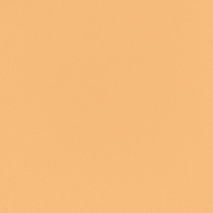Charlotte Straw Fabric Sample V791