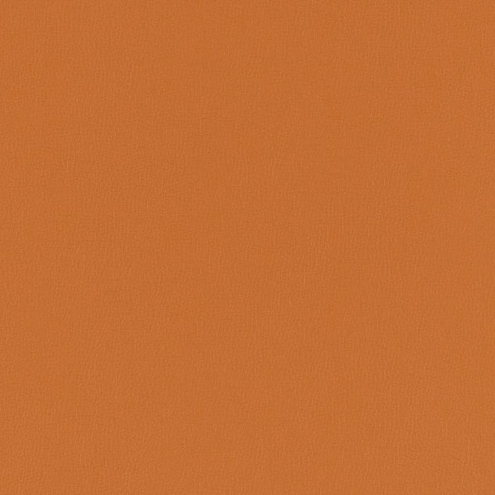 Charlotte Marmalade Fabric Sample V792