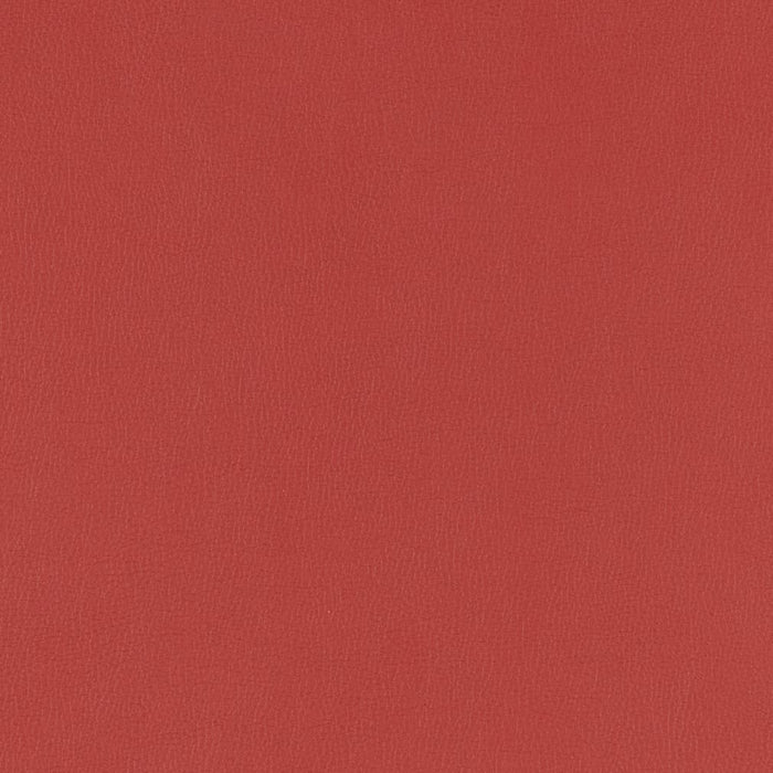 Charlotte Berry Fabric Sample V795