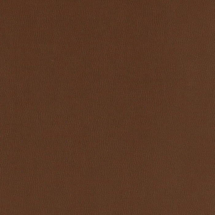Charlotte Chocolate Fabric Sample V797