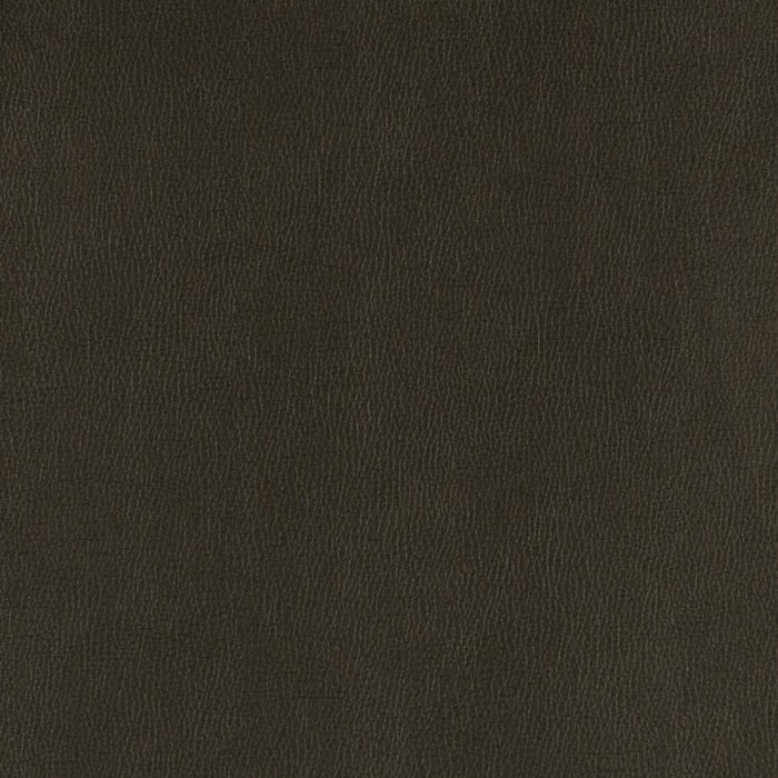 Charlotte Onyx Fabric Sample V806