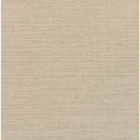 Winfield Thybony Tannin Nimbus Wallpaper WDW2239.WT.0
