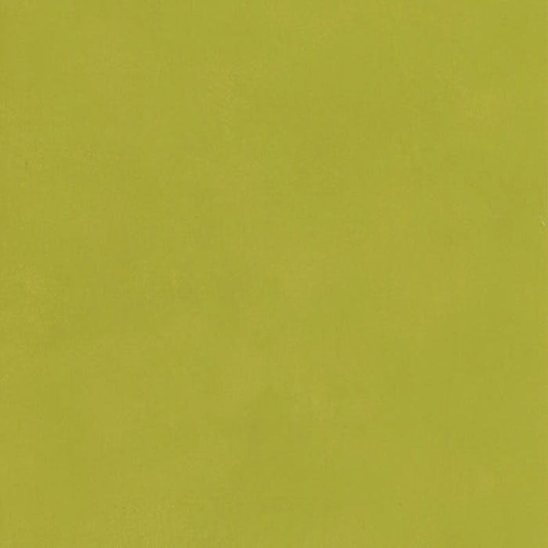 Andrew Martin Japan Citrus Wallpaper AMW10059.3.0