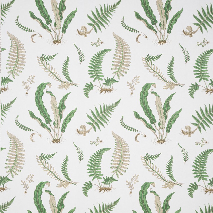 Lee Jofa Ferns Print Snow Fabric B0860.01.0