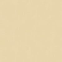 Brunschwig & Fils Ninon Taffetas Gris Fabric BR-81081.NNA.0