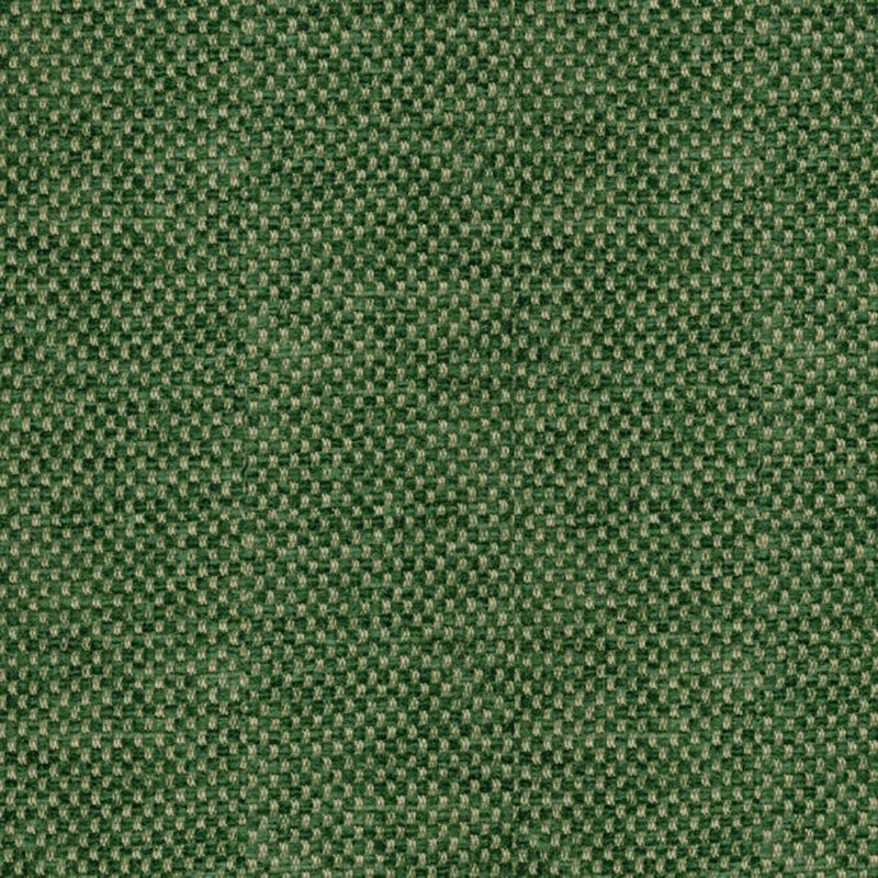 Brunschwig & Fils Yorke Chenille Forest Fabric BR-81782.488.0