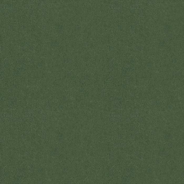 Brunschwig & Fils Autun Mohair Velvet Bayleaf Fabric BR-89778.456.0