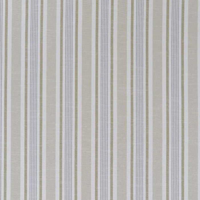 Clarke & Clarke Mappleton Mineral Fabric F1310/06.CAC.0