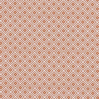 Clarke & Clarke Kiki Spice Fabric F1374/07.CAC.0
