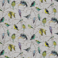 Osborne & Little Aviary 1 Fabric F7011-01